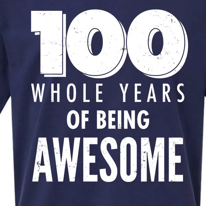 100 Whole Years Of Being Awesome Birthday Sueded Cloud Jersey T-Shirt