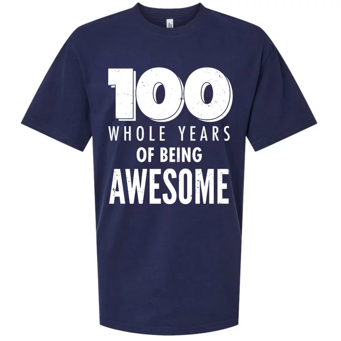 100 Whole Years Of Being Awesome Birthday Sueded Cloud Jersey T-Shirt