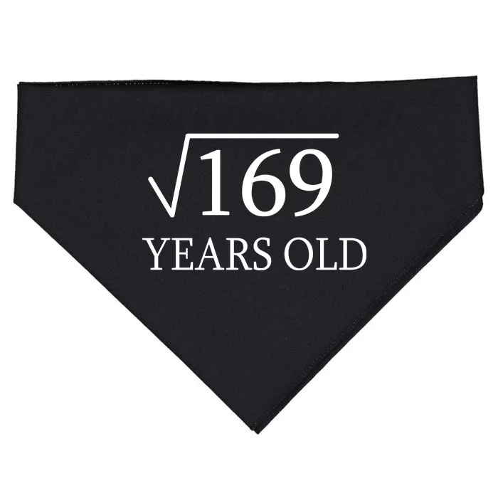 13 Years Old Square Root of 169 USA-Made Doggie Bandana