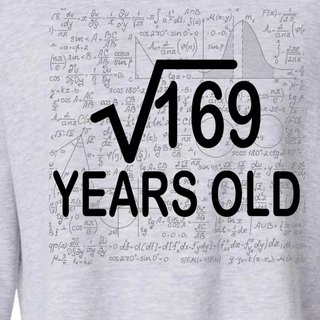 13th Birthday Square Root 169 Math Cropped Pullover Crew