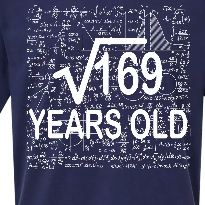 13th Birthday Square Root 169 Math Sueded Cloud Jersey T-Shirt