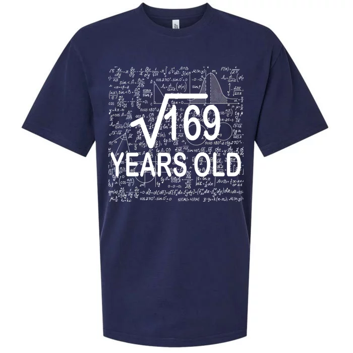 13th Birthday Square Root 169 Math Sueded Cloud Jersey T-Shirt