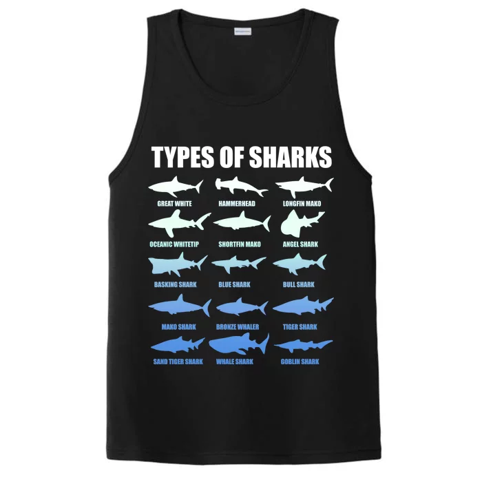 15 Types of Sharks Performance Tank