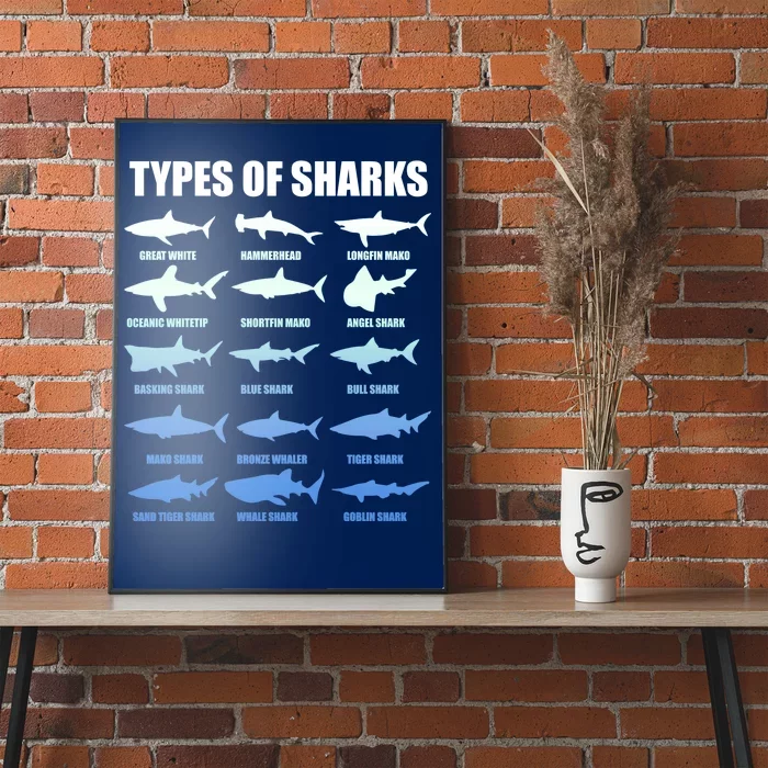 15 Types of Sharks Poster | TeeShirtPalace