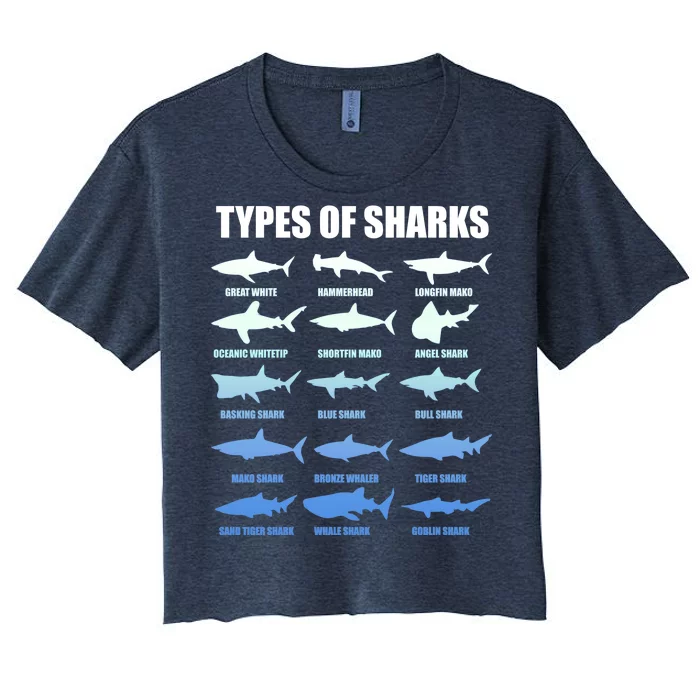 15 Types of Sharks Women's Crop Top Tee