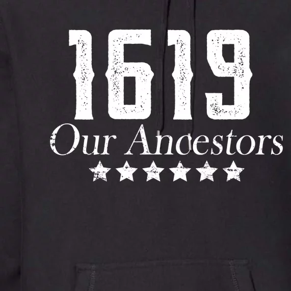 1619 Our Ancestors US Africa Past Premium Hoodie