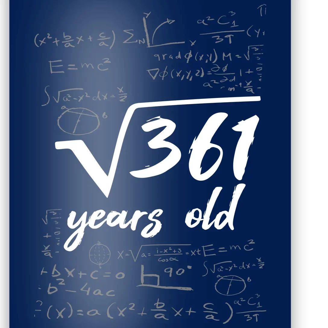 19 Year Old Birthday Math Geek Poster