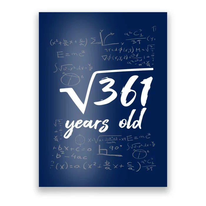 19 Year Old Birthday Math Geek Poster