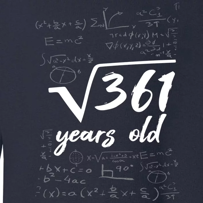 19 Year Old Birthday Math Geek Toddler Sweatshirt