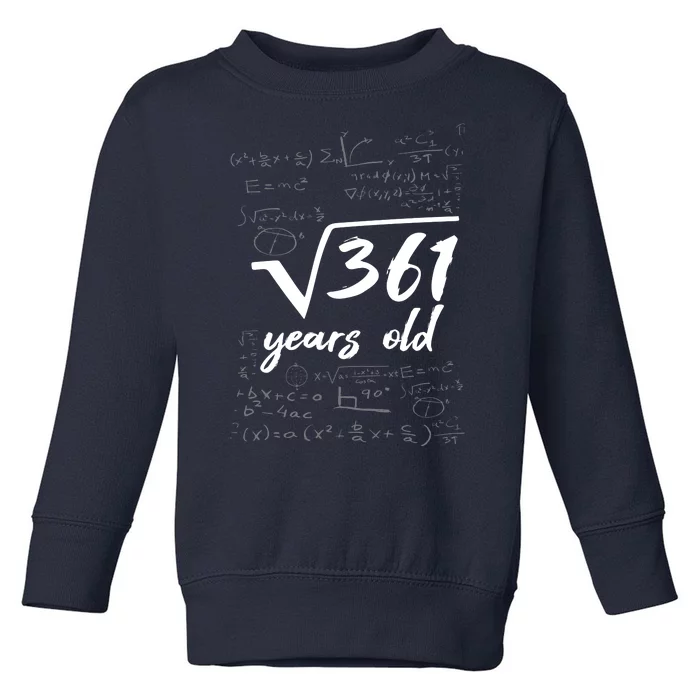 19 Year Old Birthday Math Geek Toddler Sweatshirt