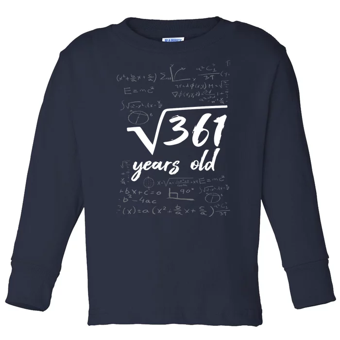 19 Year Old Birthday Math Geek Toddler Long Sleeve Shirt