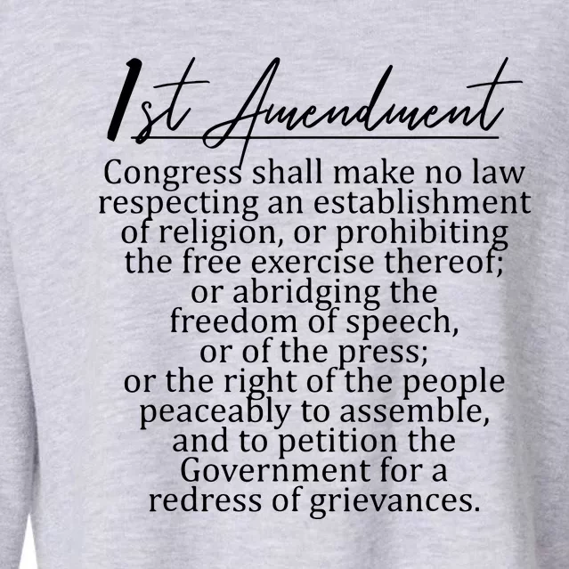 1st Amendment US Constitution Support Freedom Of Speech Cropped Pullover Crew