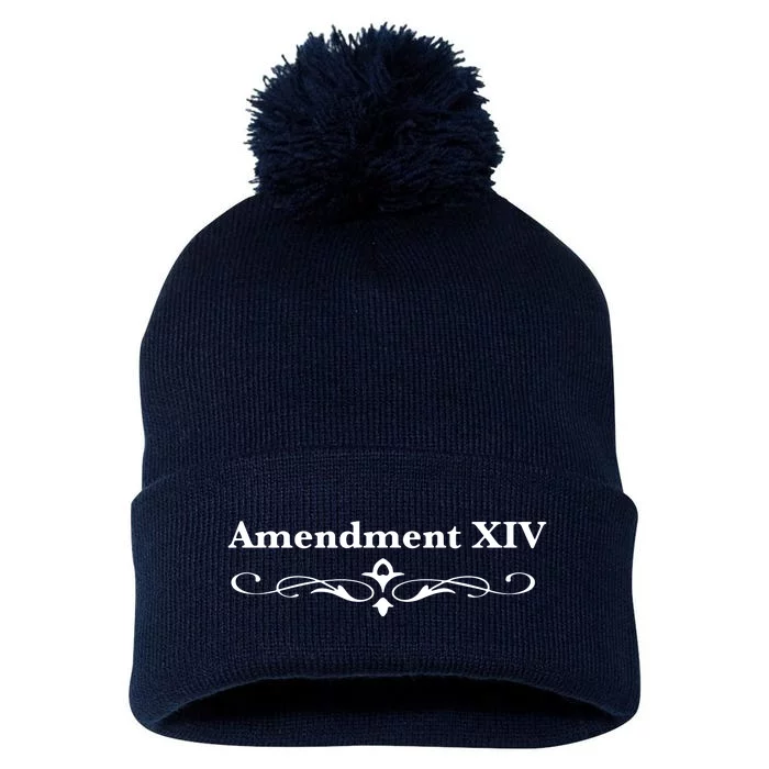 14TH Amendment USA Constitution Pom Pom 12in Knit Beanie