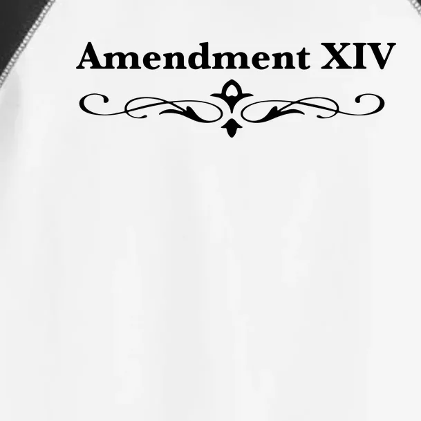 14TH Amendment USA Constitution Toddler Fine Jersey T-Shirt