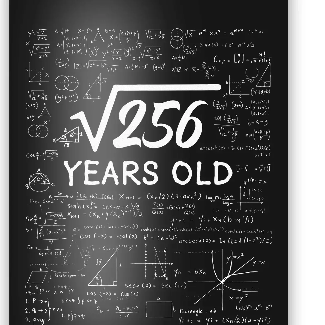 16 Birthday Boy Men Son Him Girl Funny Math 16th Birthday Poster