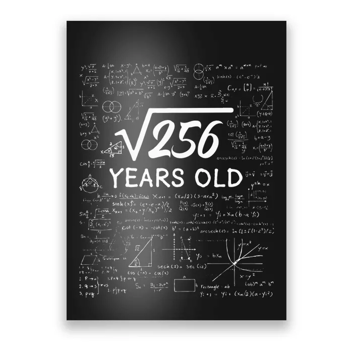 16 Birthday Boy Men Son Him Girl Funny Math 16th Birthday Poster