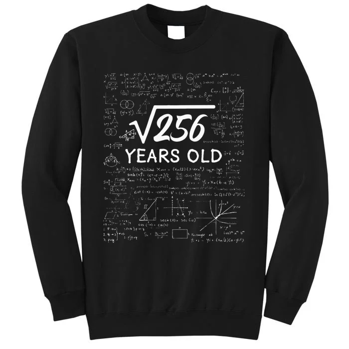 16 Birthday Boy Men Son Him Girl Funny Math 16th Birthday Tall Sweatshirt