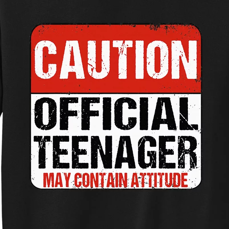 13 Birthday Caution Nager Boy 13yr 13th Birthday Tall Sweatshirt