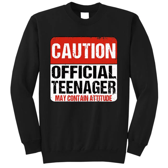 13 Birthday Caution Nager Boy 13yr 13th Birthday Tall Sweatshirt