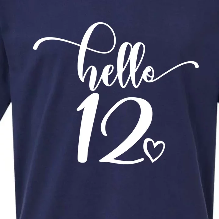 12th Birthday For Hello 12 Cute 12 Years Old Sueded Cloud Jersey T-Shirt