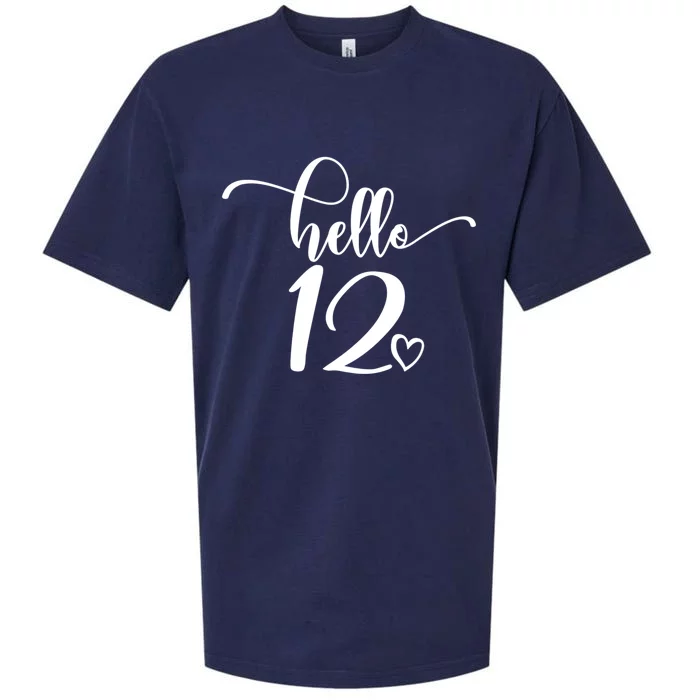 12th Birthday For Hello 12 Cute 12 Years Old Sueded Cloud Jersey T-Shirt