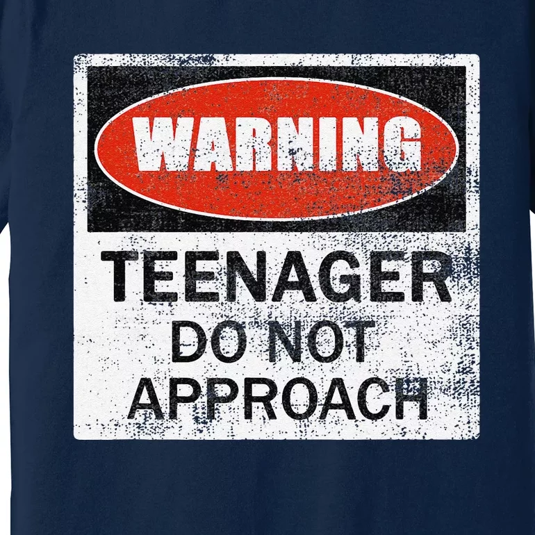 13th Birthday Fun Warning Official Teenager Do Not Approach Premium T-Shirt