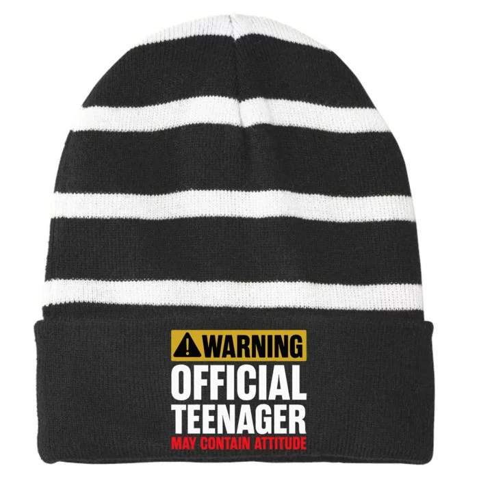 13 Birthday O.fficial Teenager 13yr Math 13th Birthday Striped Beanie with Solid Band