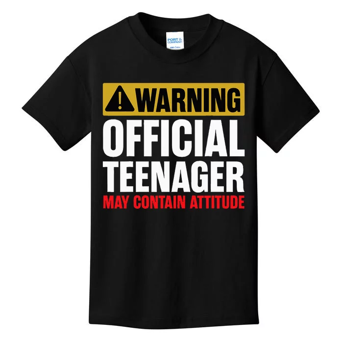 13 Birthday O.fficial Teenager 13yr Math 13th Birthday Kids T-Shirt