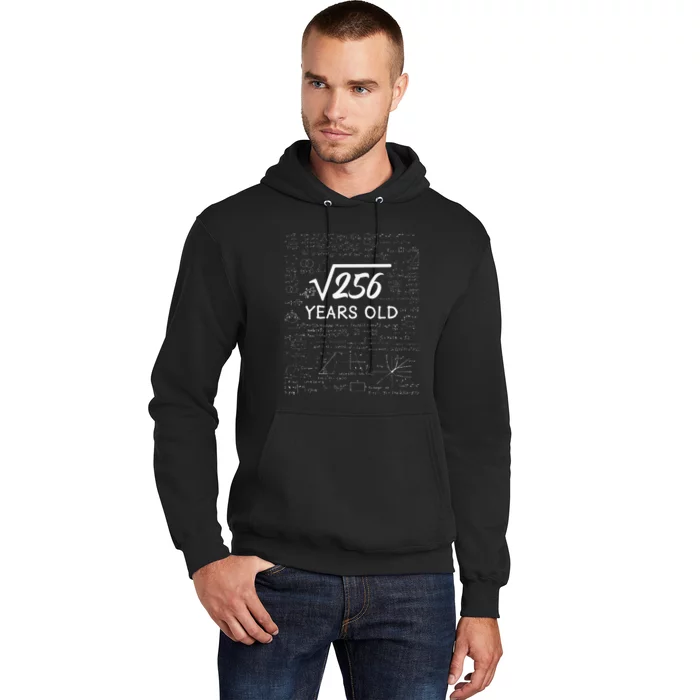 16 Birthday Son Him Funny Math 16th Birthday Hoodie