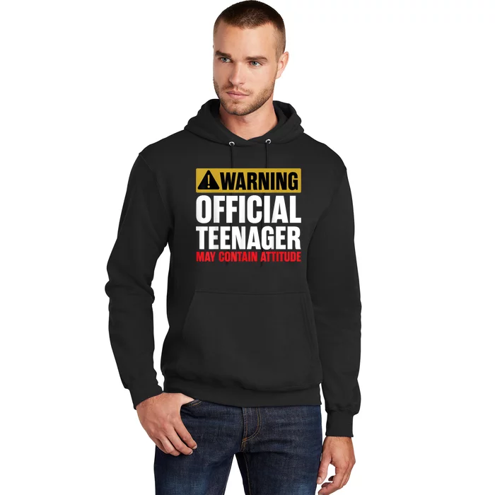 13 Birthday Teenager Boy 13yr Math 13th Birthday Hoodie