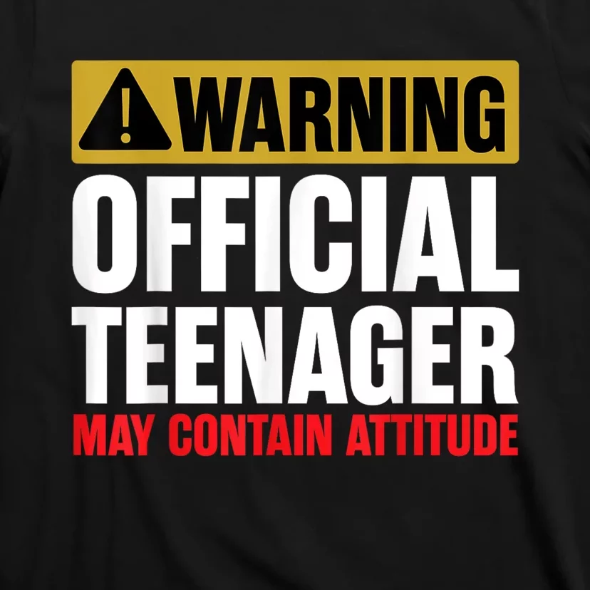 13 Birthday Teenager Boy 13yr Math 13th Birthday T-Shirt