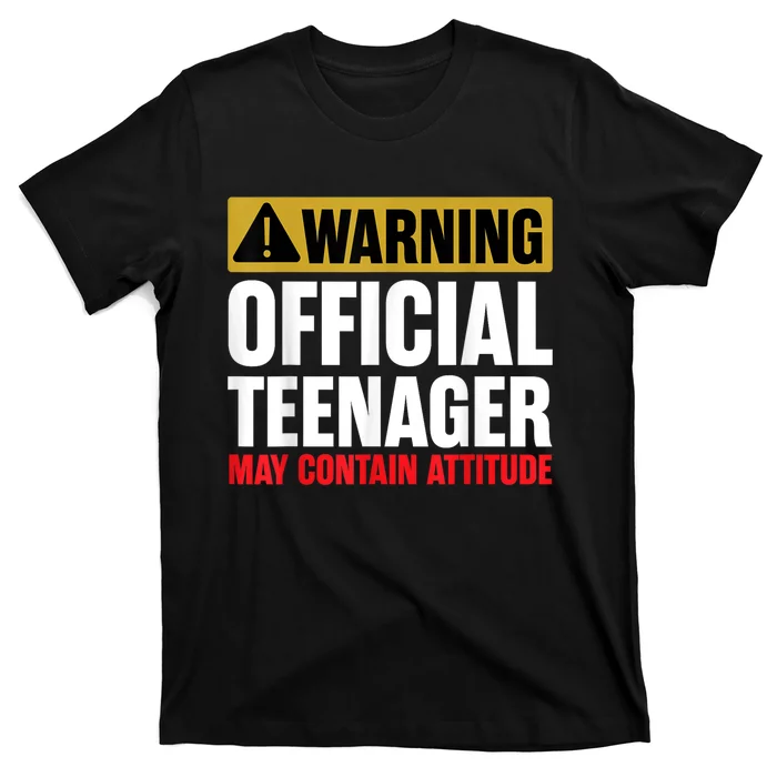 13 Birthday Teenager Boy 13yr Math 13th Birthday T-Shirt