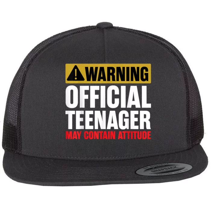 13 Birthday Teenager Boy 13yr Math 13th Birthday Flat Bill Trucker Hat