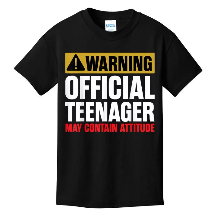 13 Birthday Teenager Boy 13yr Math 13th Birthday Kids T-Shirt