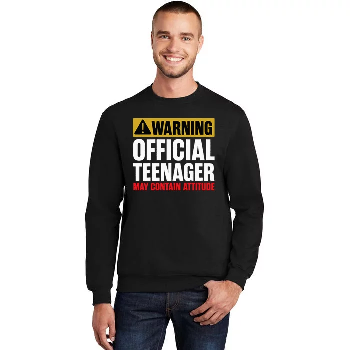 13 Birthday Teenager 13yr Math 13th Birthday Tall Sweatshirt