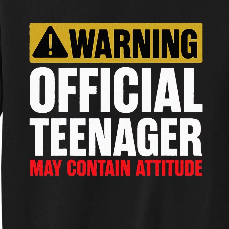 13 Birthday Teenager 13yr Math 13th Birthday Tall Sweatshirt