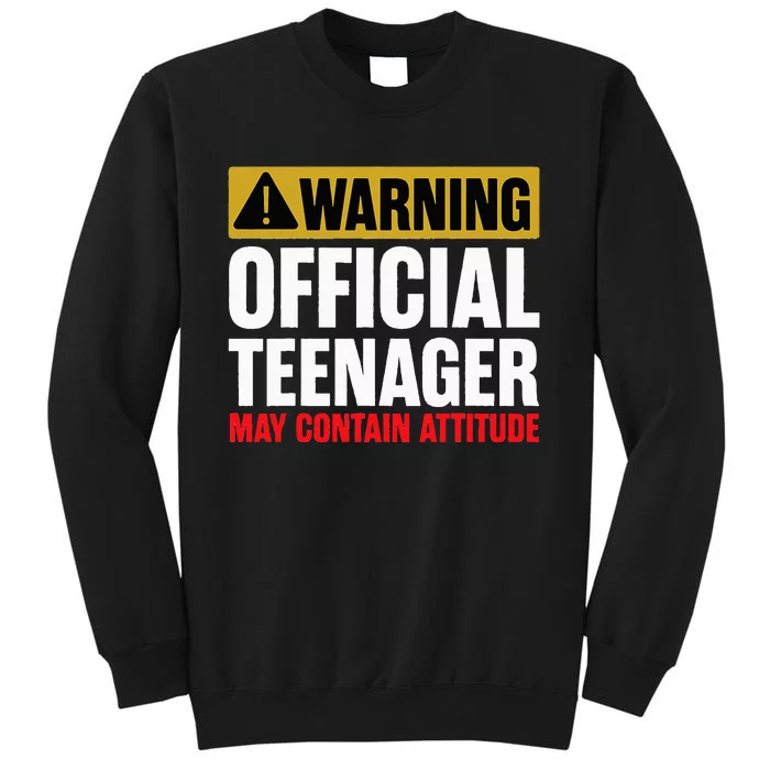 13 Birthday Teenager 13yr Math 13th Birthday Tall Sweatshirt