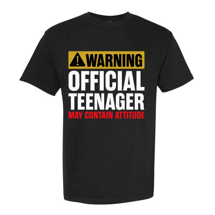 13 Birthday Teenager Boy 13yr Math 13th Birthday Garment-Dyed Heavyweight T-Shirt