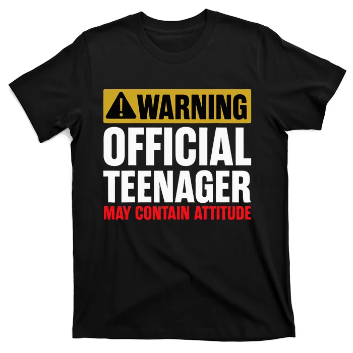 13 Birthday Teenager Boy 13yr Math 13th Birthday T-Shirt