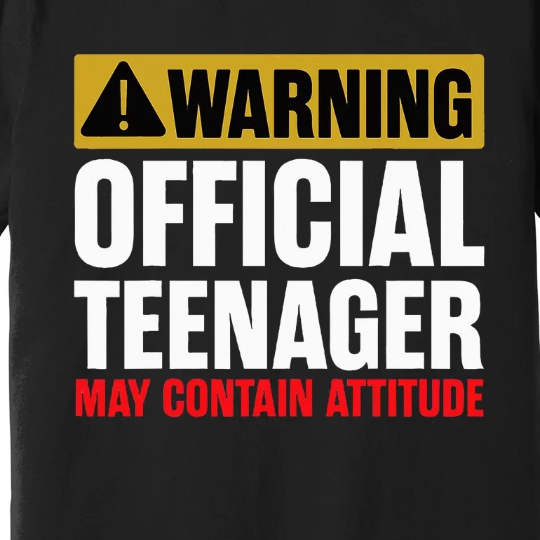 13 Birthday Teenager Boy 13yr Math 13th Birthday Premium T-Shirt