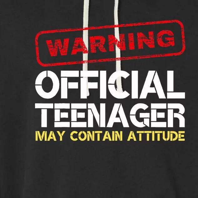 13 Birthday Teenager Boy 13th Birthday Garment-Dyed Fleece Hoodie