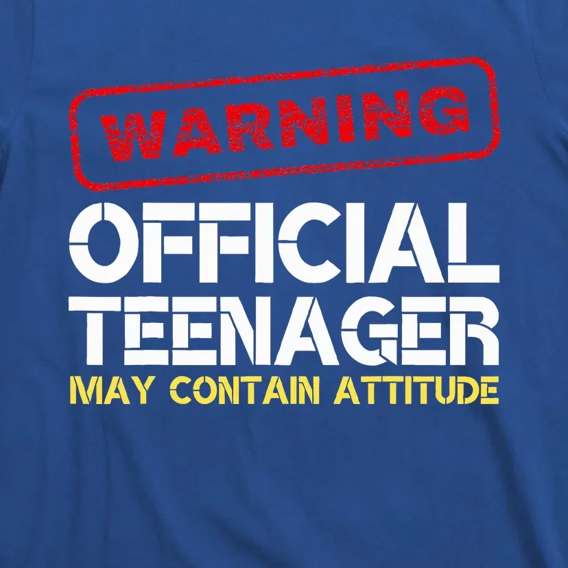 13 Birthday Teenager Boy 13th Birthday T-Shirt