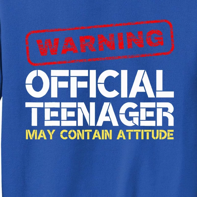 13 Birthday Teenager Boy 13th Birthday Tall Sweatshirt