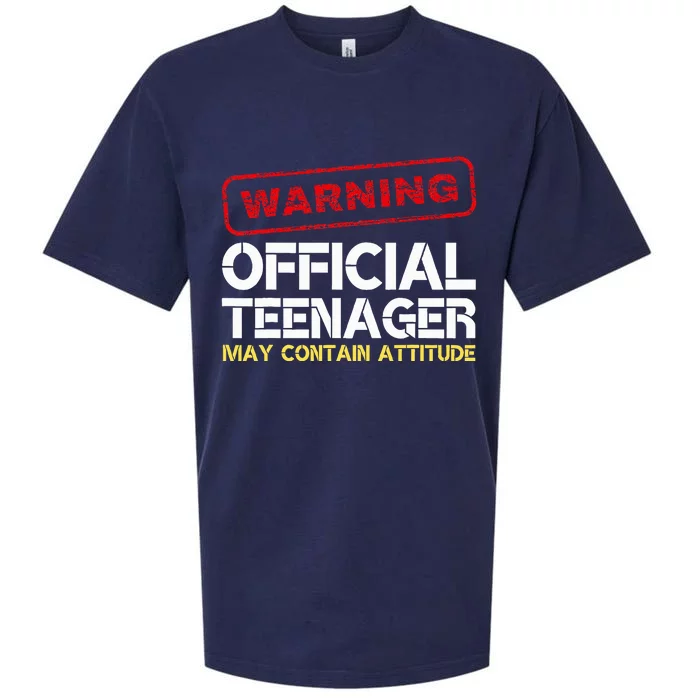 13 Birthday Teenager Boy 13th Birthday Sueded Cloud Jersey T-Shirt