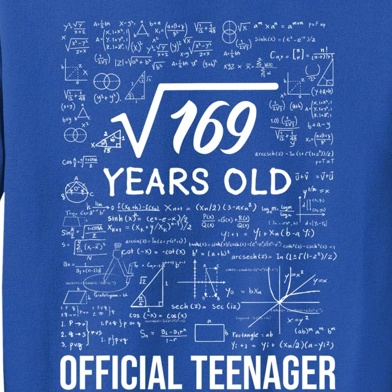 13 Birthday Teenager Boy 13yr Math 13th Birthday Tall Sweatshirt