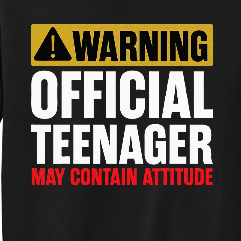 13 Birthday Teenager Boy 13yr Math 13th Birthday Tall Sweatshirt