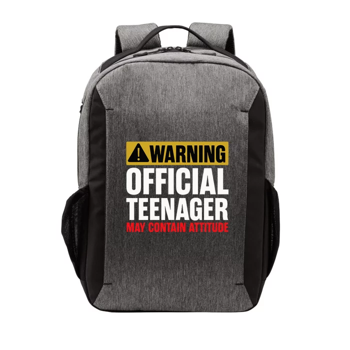 13 Birthday Teenager Boy 13yr Math 13th Birthday Vector Backpack