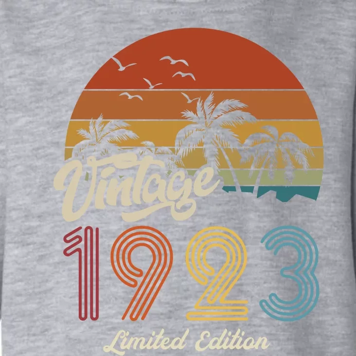 100th Birthday Vintage Limited Edition 1923 Toddler Hoodie