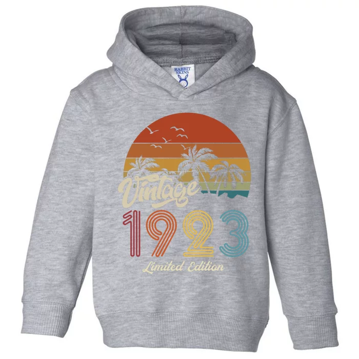 100th Birthday Vintage Limited Edition 1923 Toddler Hoodie