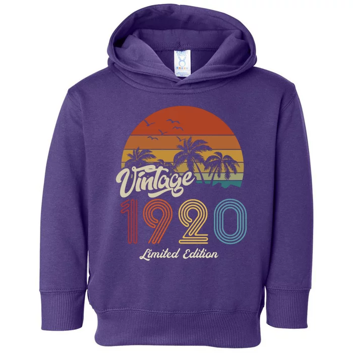 103rd Birthday Vintage Limited Edition 1920 Toddler Hoodie